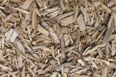 biomass boilers Dunchurch
